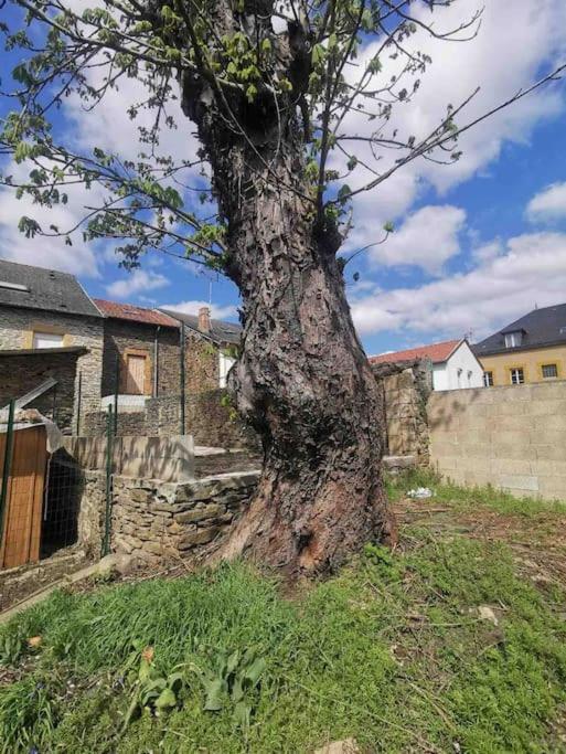 La Cascade Verte /Appartement /Jardin /Parking Braux  Bagian luar foto
